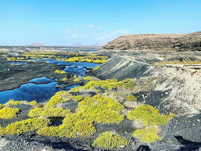 _walktheworld_'s tweet photo. Franchement on ne s’attendait pas à trouver ce genre de paysages à Lanzarote 😍
Pour un peu entre cette lumière et ces couleurs, on se serait cru dans une de ces laguna d’Amérique du Sud.
Et pourtant nous n’étions qu’à 4 petite heures de Paris 😉
.
#la… https://t.co/mUkLnpxM8f https://t.co/Xl0b6jvOHS