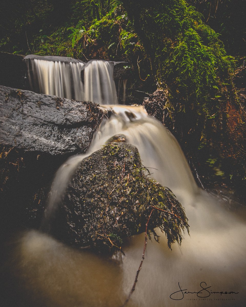 Back up to the Slieve bloom mountains, it's a waterfall paradise up there at the moment! Falls everywhere you look 👌🏼
<a href="/Offaly_Express/">Offaly Express</a> <a href="/LaoisNews/">Leinster Express / Laois Live</a> @pictureireland  <a href="/tourismireland/">Tourism Ireland</a>