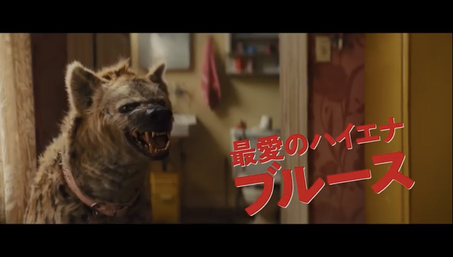 権田メサ バーチャルサメ人間 Twitterissa 映画好きとしてだけでなく動物好きとしても見逃せない映画 ハーレイ クインの華麗なる覚醒 ではハーレイ クインのペットとしてハイエナのブルースが登場 素敵な最凶コンビを実写で拝むのが楽しみ ちなみに映画