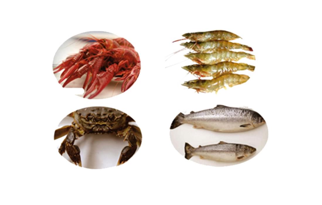 gupack_machinery tweet media