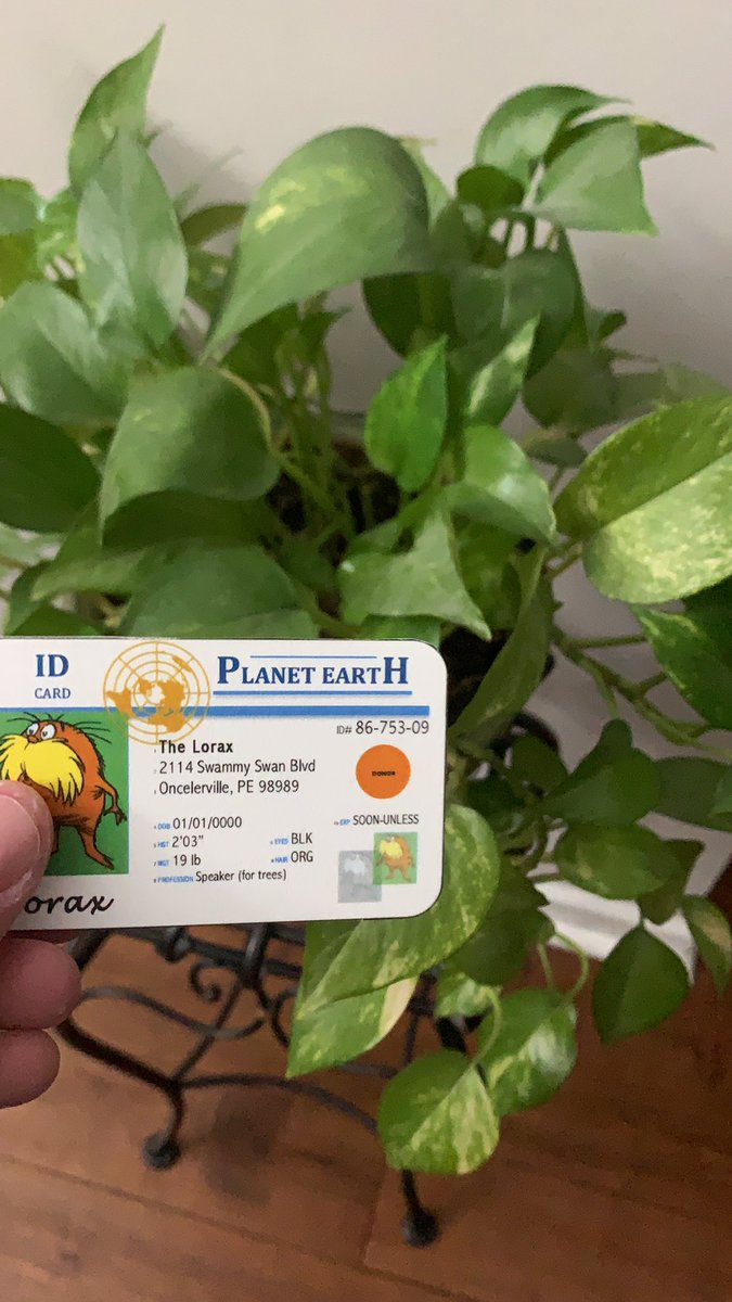 Milosev02Srdjan's tweet photo. This plant grows because of the soil its in, this soil has humus and other nutrients in it and helps the plant grow. @franklinlorax #apesland https://t.co/k3shn69AeQ