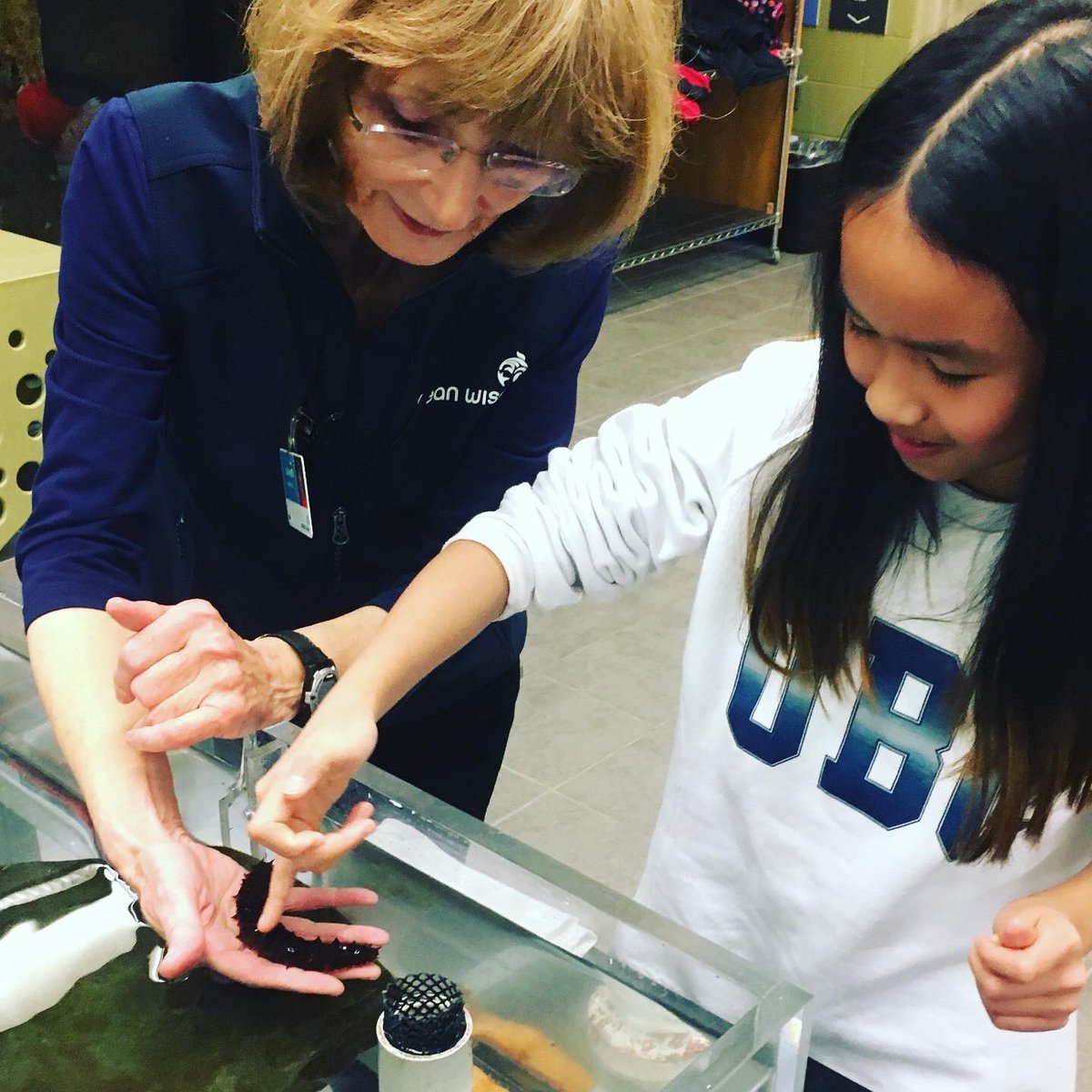 Our_KIDSWORLD's tweet photo. The ocean and all it’s creatures are SO cool! We are at the Wet Lab by @OceanWise learning and experiencing ocean life at the @vanaqua. There are so many awesome things to learn about our ocean friends! 

#supportoceanlearning #oceanwise #vanaqua #yvrkids #kidsworld2020 https://t.co/oGmVCcjOwq