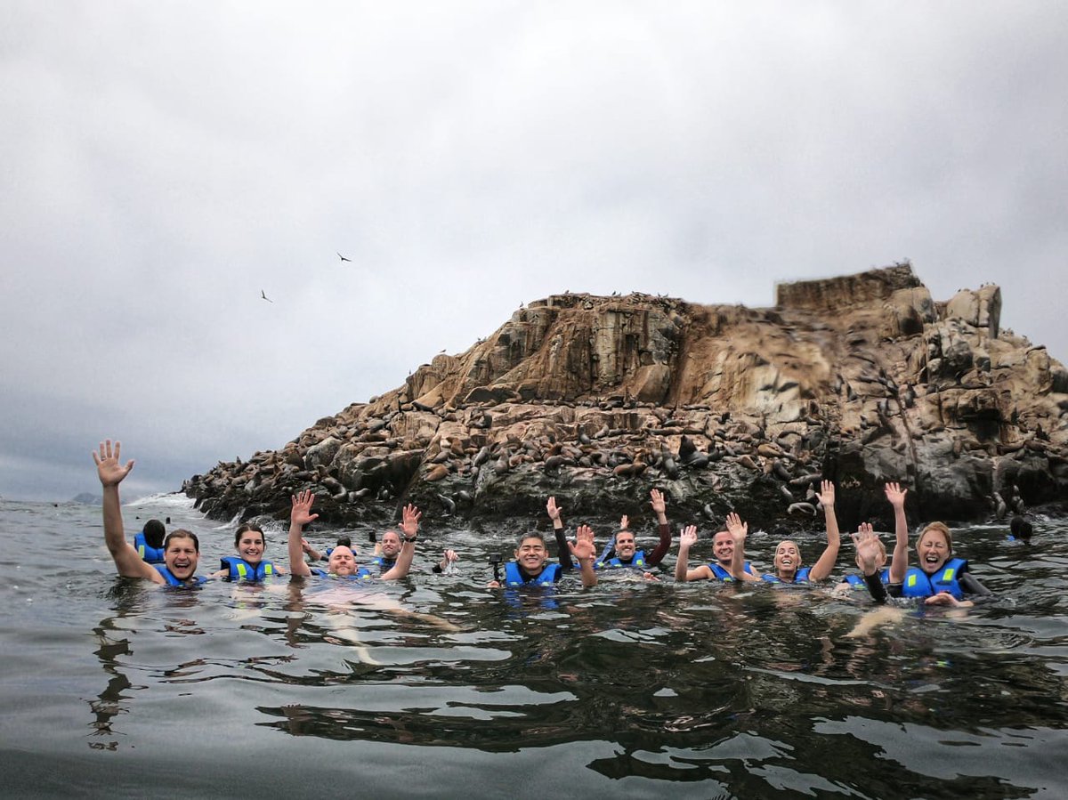MarAdentroPeru's tweet photo. Palomino islands Lima PERU, where you can feel the nature and swim with more than thousands sea lions.
Online booking
https://t.co/PJ7cAs9XRO https://t.co/RGqYys1uiS