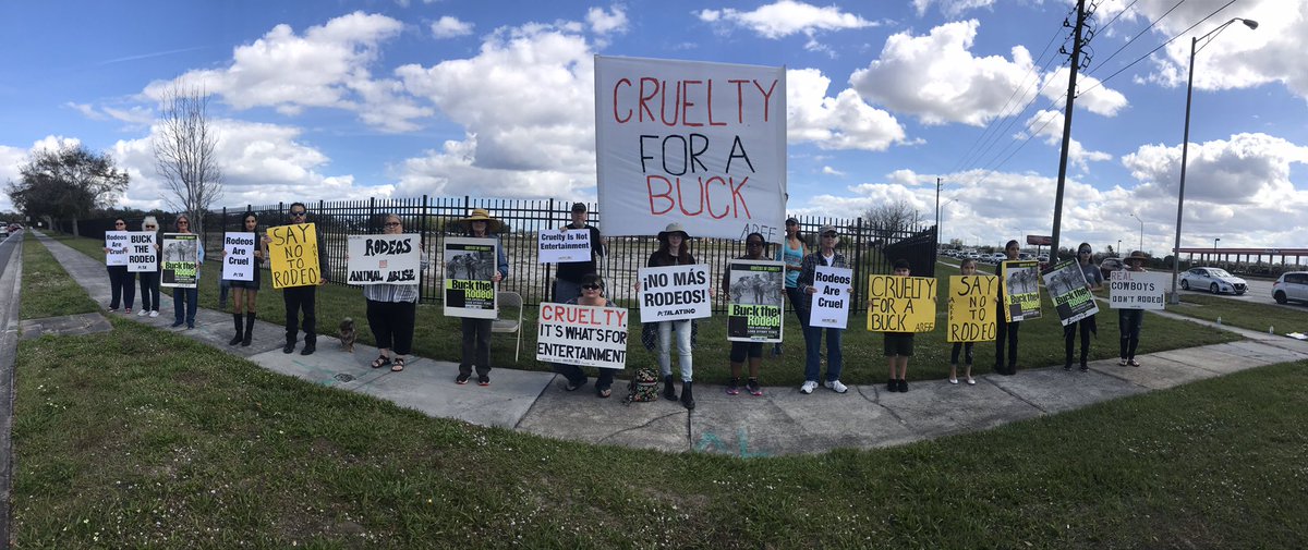 #ARFF activists gathered outside the Silver Spurs Rodeo speaking for the animals abused inside. #BuckTheRodeo #RodeosAreCruel  #AnimalRightsFlorida #OrlandoAnimalRights