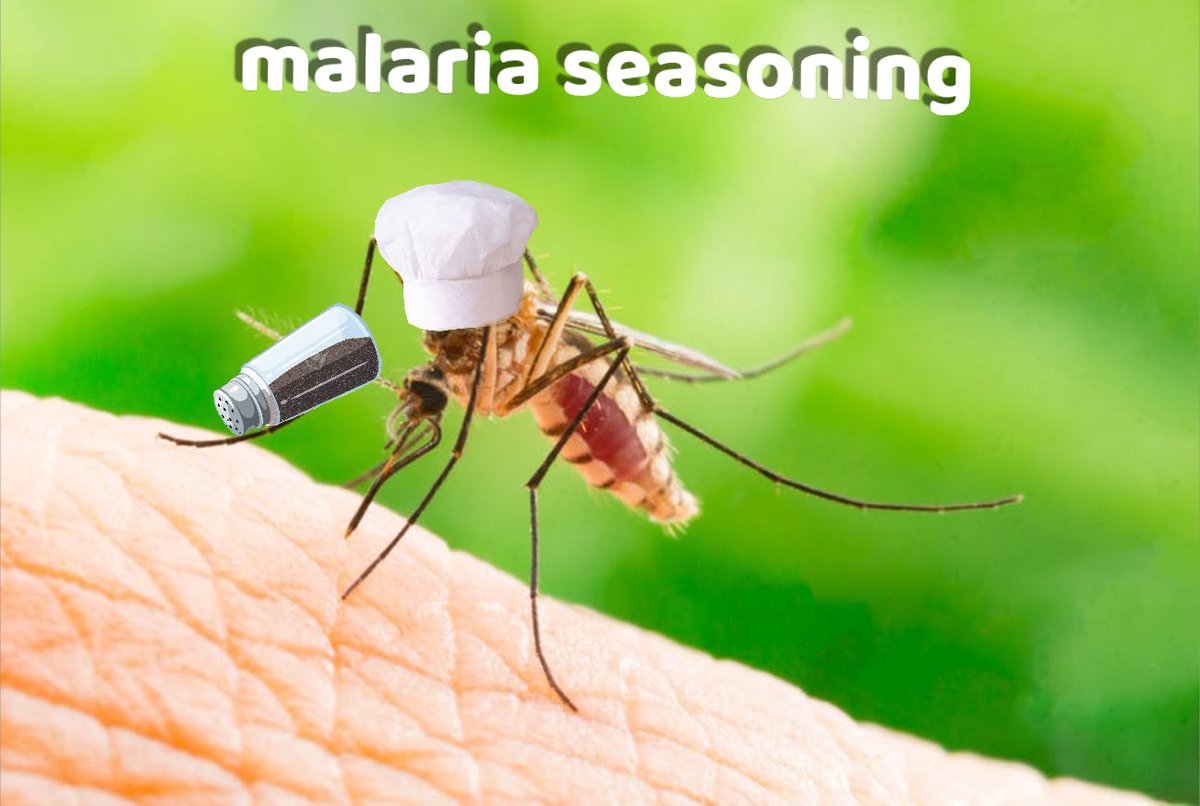 ah yes, adding to this again. In the English Caribbean days, those who got malaria were called “seasoned” since they didn’t know what malaria was. If you died of malaria, you died of seasoning. If you lived, you were seasoned. With that, i present: