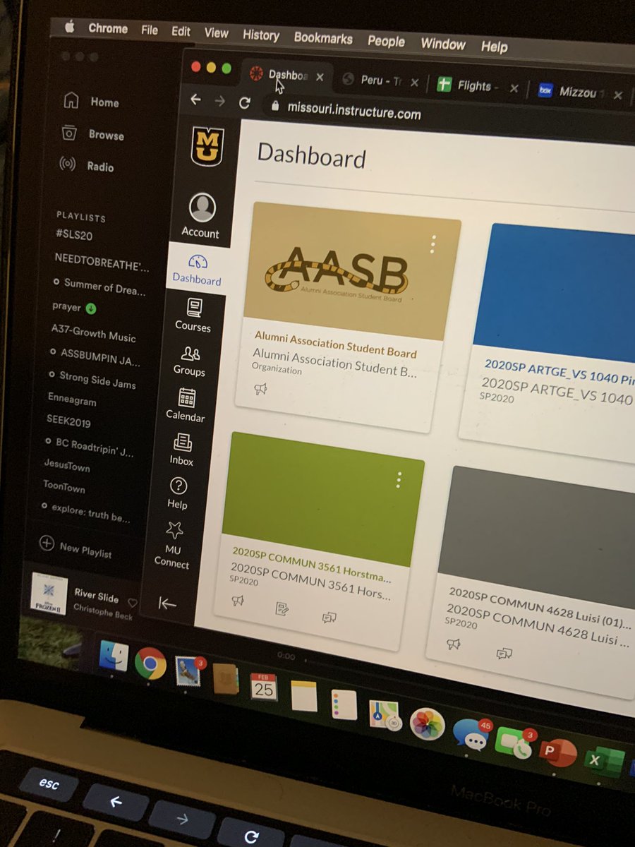 Hits a different level of subculture when you have your own canvas page