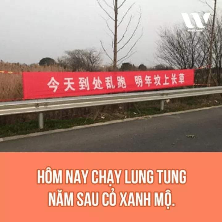 Nam13528086's tweet image. Nhập gia tùy tục. Sang nước người ta mà còn tỏ ra thượng đẳng đéo chịu cách ly. Ở khách sạn 4 sao, ăn đồ ăn ngon, bánh mỳ ngon, suất cơm gần 200k / 1 suất mà còn chê được, cút cmn về Hàn đi lũ mọi rợ chim ngắn.
#키스할때_어디를_붙잡는가
#ApologizeToVietNam