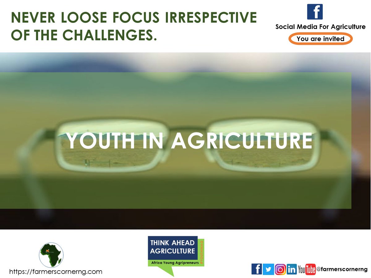 farmerscornerng's tweet photo. NEVER LOOSE FOCUS IRRESPECTIVE OF THE CHALLENGES
YOUTH IN AGRICULTURE
#WednesdayMotivation #youthinag #farm #farming #farmers #mobileag #agribusiness #agtech #fresh #agriculture #foodsecurity #csa #africa #youth #farmerscornerng https://t.co/5E93QBeqq9