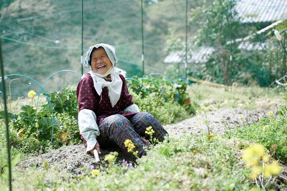 addhopper's tweet image. 【拡散希望】奈良の山奥に最高のサウナ作りたい。

『瞑想』『和』『雲海外気浴』がテーマのサウナをつくります。その名も 「ume, sauna」。

自然の力で、"うまれ、めざめる"
そんなサウナがあったら最高ですよね。

支援よろしくお願いします！共犯者になってください！

camp-fire.jp/projects/view/…