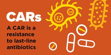 ACSQHC's tweet photo. CARAlert provides up-to-date information on critical antimicrobial resistances. Read the latest #CARAlert report and visit poster 18 at scientific meeting #ASA2020 from tomorrow: https://t.co/jCvzedvG9h
@AusAntibiotics @ASIDANZ @ACIPC @NCAS_Aus @CRE_REDUCE @PSA_National #AMR https://t.co/zI1brq0Wcd
