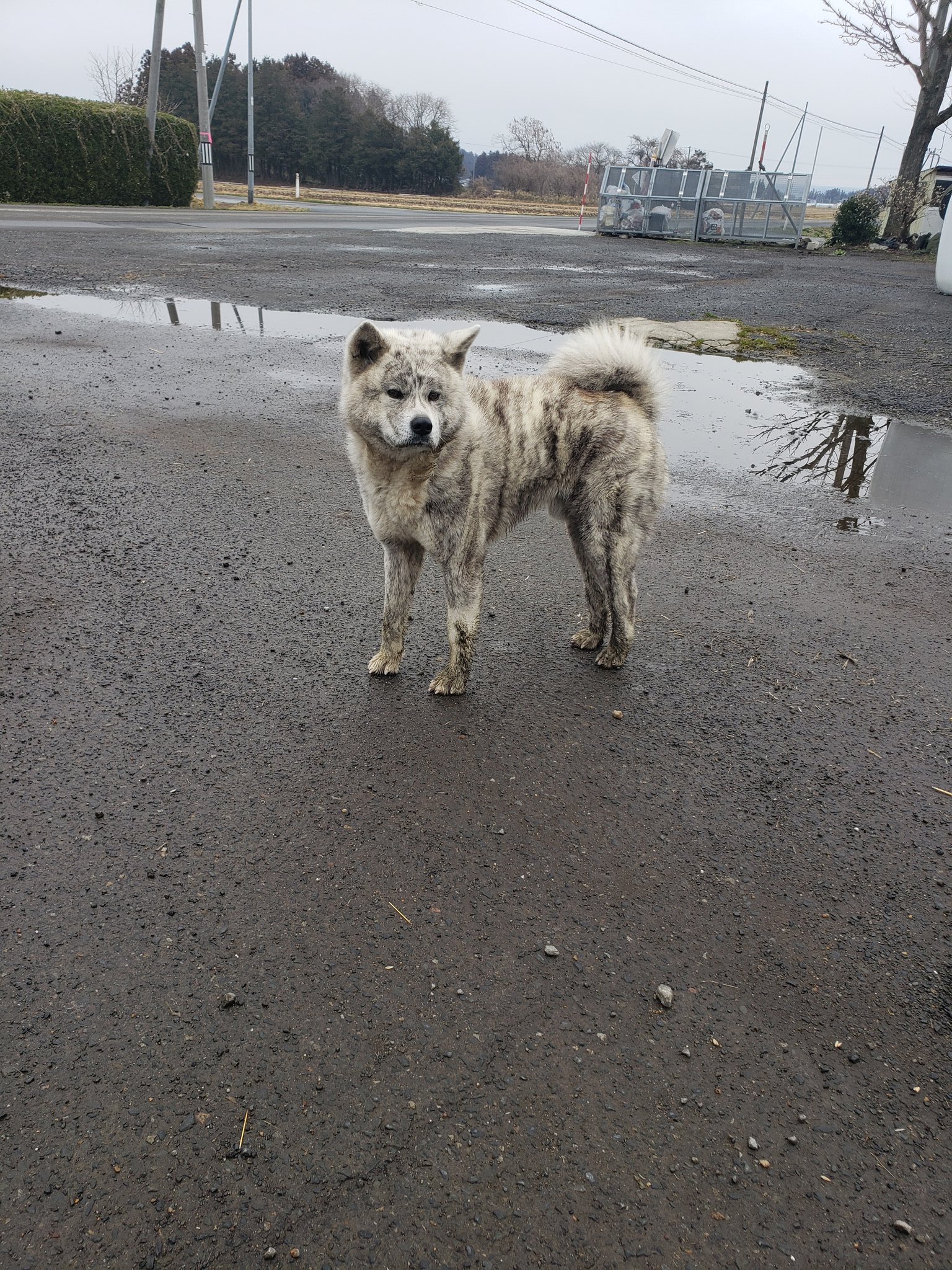 See Yum Fya S Tweet Twitter