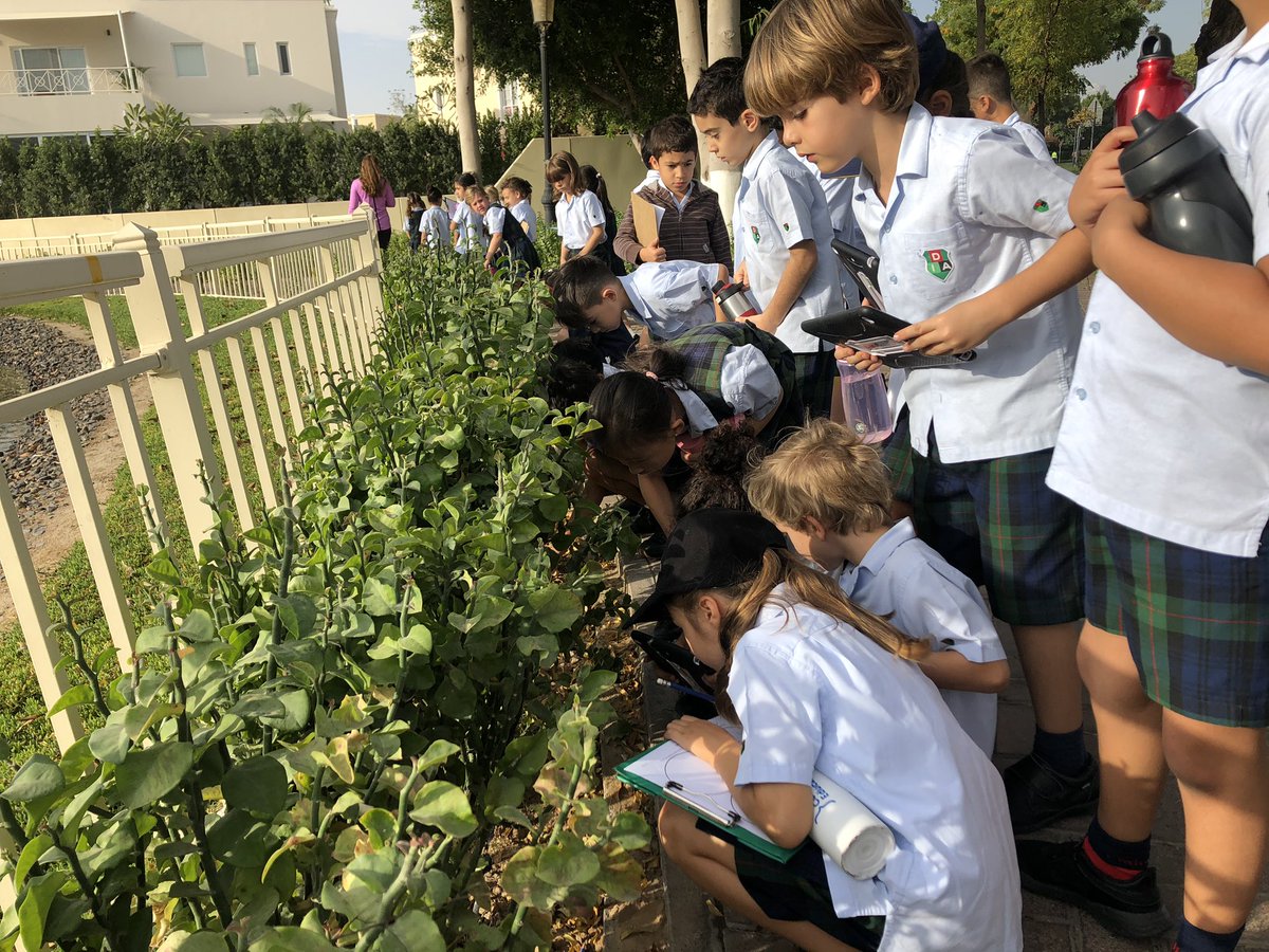 DIA_Year2's tweet photo. As part of our inquiring into Sharing the Planet #DIA_Year2 discovered lots of micro-habitats while exploring our local area. How can we preserve our natural environment?
#DIAscience #DIAResponsibility #DIAPYP https://t.co/bAe8CKRyCl