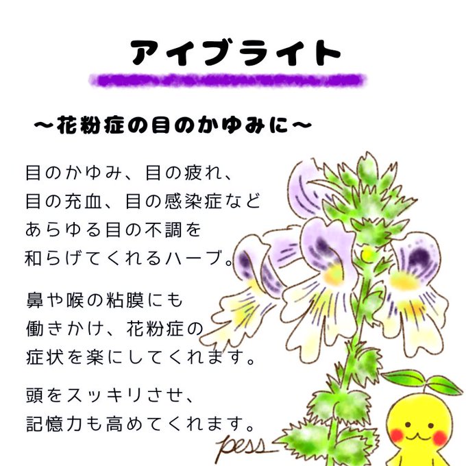 アイブライトのtwitterイラスト検索結果 アイブライトのtwitterイラスト検索結果