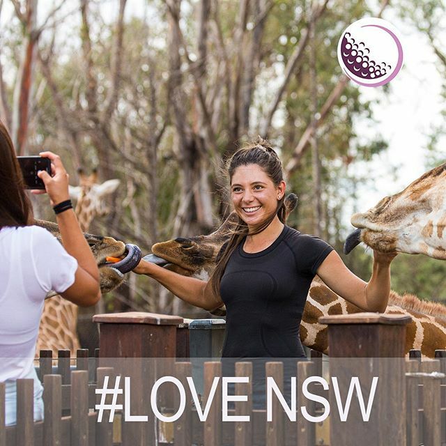 <a href="/lizelmassian/">liz elmassian</a> #LoveNSW  at Taronga Western Plains Zoo in #Dubbo day before #womensnswopen #worrells ift.tt/32sL3MJ