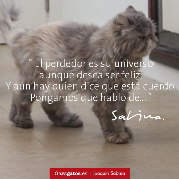 Desde aquel mayo de París no tiene más filosofía que el “vive a tope hasta morir"... #Sabina #JoaquínSabina #Arte #Filosofía #Versos