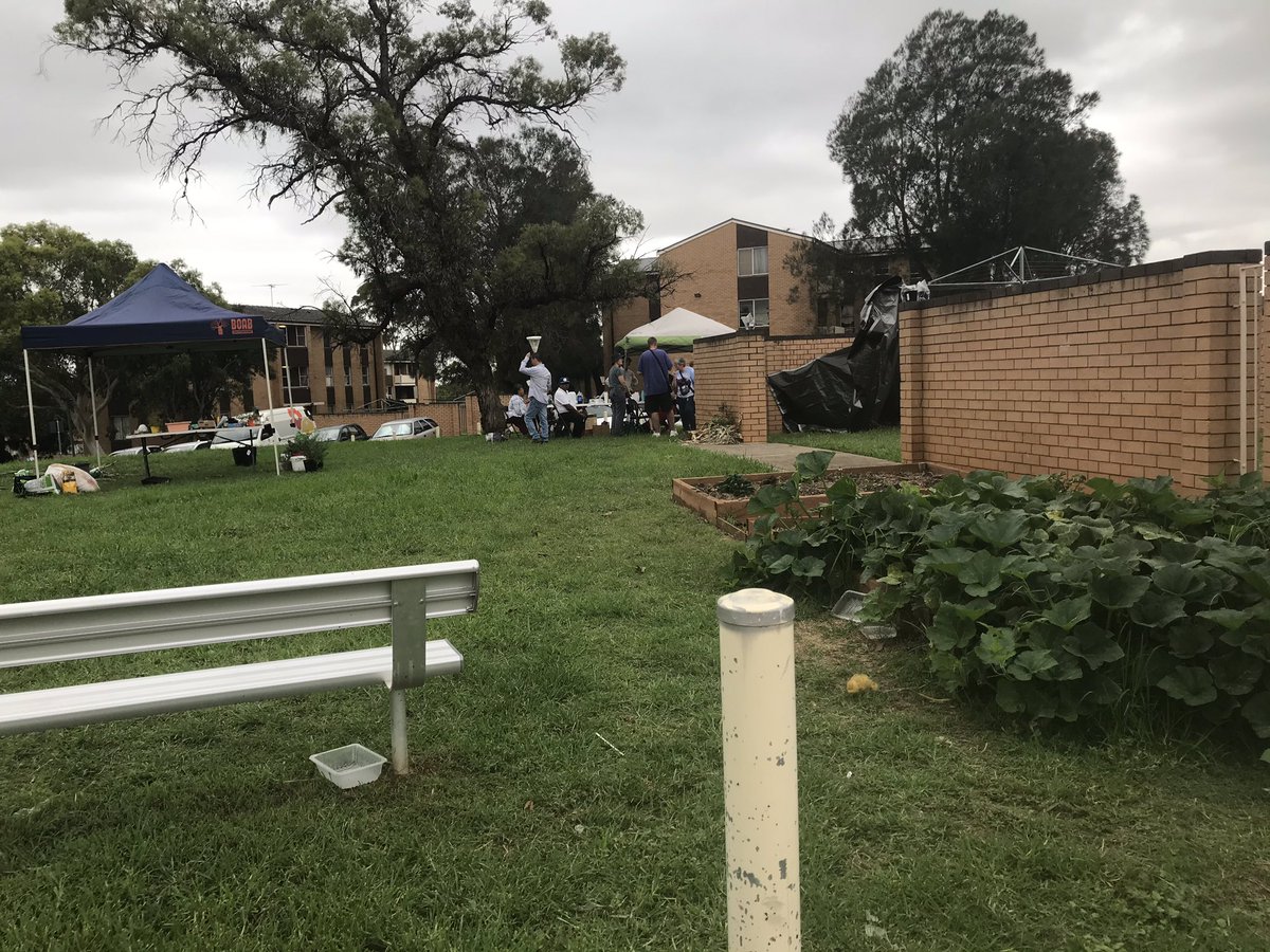 Up on #hamburgerhill local community and volunteers joined us for week 2 of the #communitygreening #mastergardener course the #treeofknowldge grows colourful here #2168 #miller #urbanag #urbanfarm #communityaction #placemaking #safemaking #foodsecurity #eattogether #learntogether