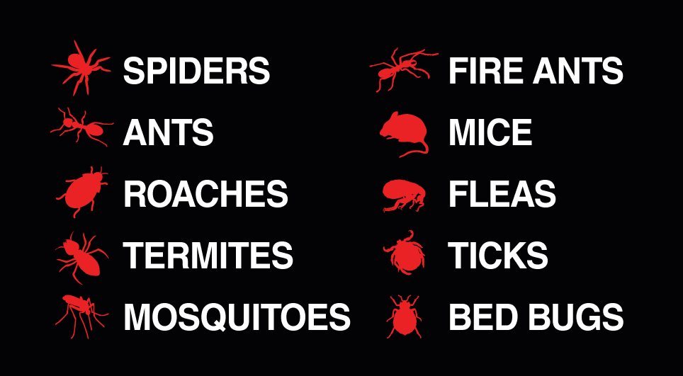 SalLass5's tweet photo. Certified Pest Control Services in Lexington SC https://t.co/ovj5jsLLak #PestControlLexingtonSC https://t.co/rBUqwe2mgd