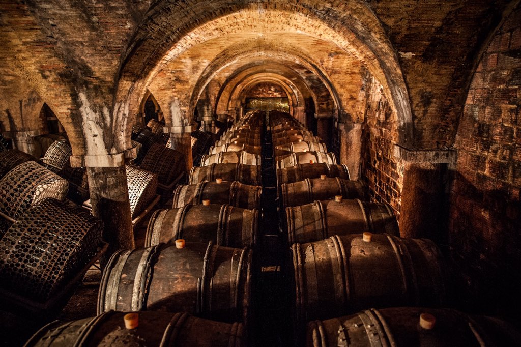 ArmagnacNews's tweet photo. Une médaille d’or (hors d’âge), trois d’argent (25 ans, 1995 et 2009) pour l’#armagnac château de #Monluc au concours de #Paris. Tous les résultats sur https://t.co/5PzzkTVMgF
#gers #landes #spirit #cocktails #bartender #caviste #sogers #bnia #clubdesmarques #whisky #cognac #rhum https://t.co/CiteCgSDYt