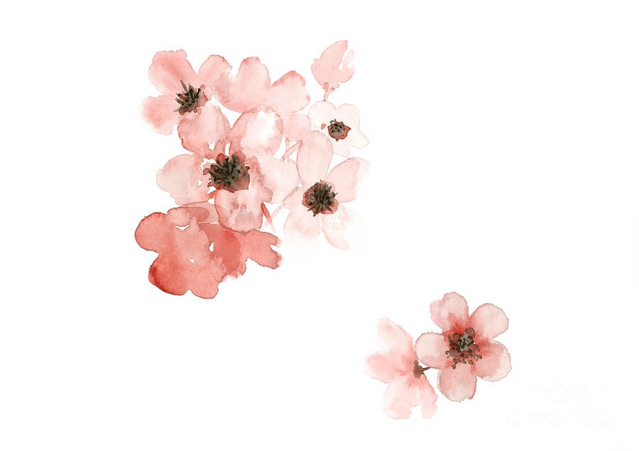 FloristFriend tweet picture