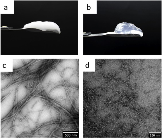 Glyco@Alps tweet media