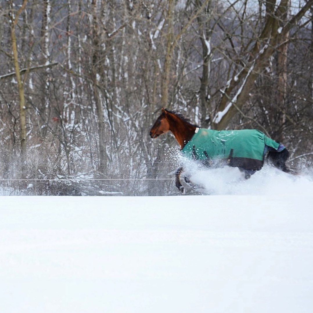 CheffCenter's tweet image. Looks like we’ve got another #snowday 😐. Cheff will be CLOSED Wednesday, February 26th due to weather and road conditions.