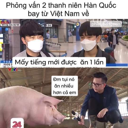 Annie22112000's tweet photo. Đảng cộng sản Việt Nam muôn nămmmm
#KoreansApologizetoVietNam 
#YTN_사과해
#베트남을존중해 https://t.co/JHYYi9g8DK