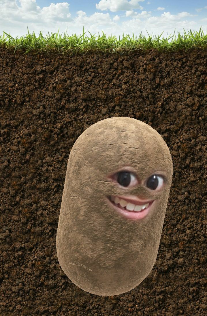 theaaabarlis's tweet image. retweet this lucky potato to pass your exams