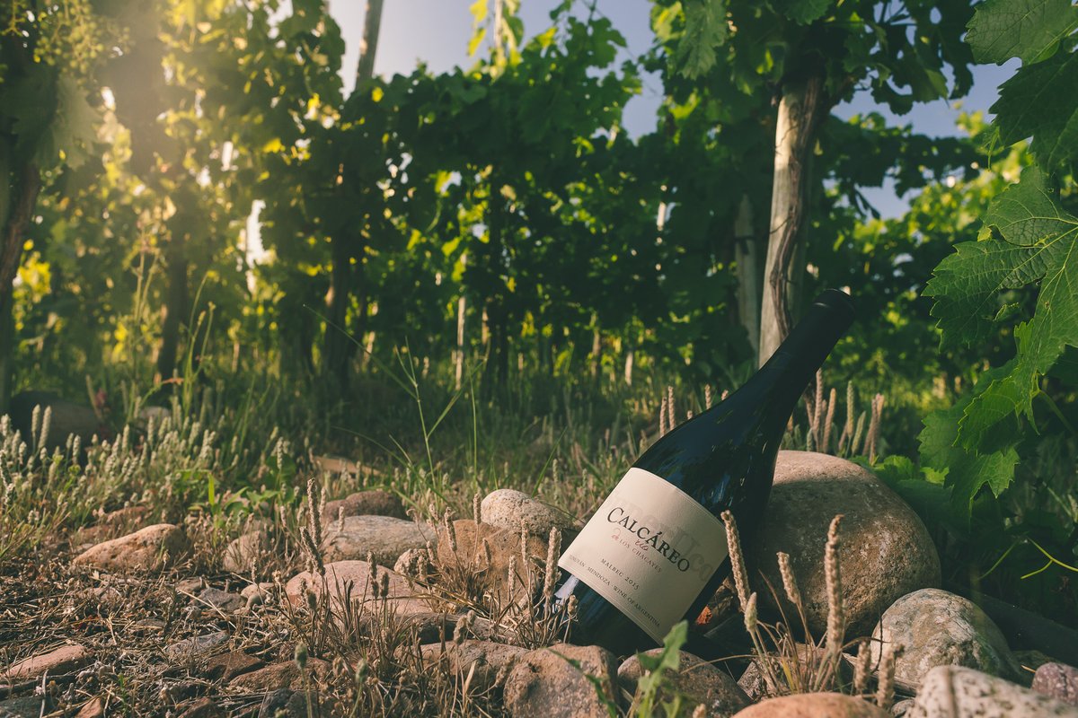 Guía Blend tweet media