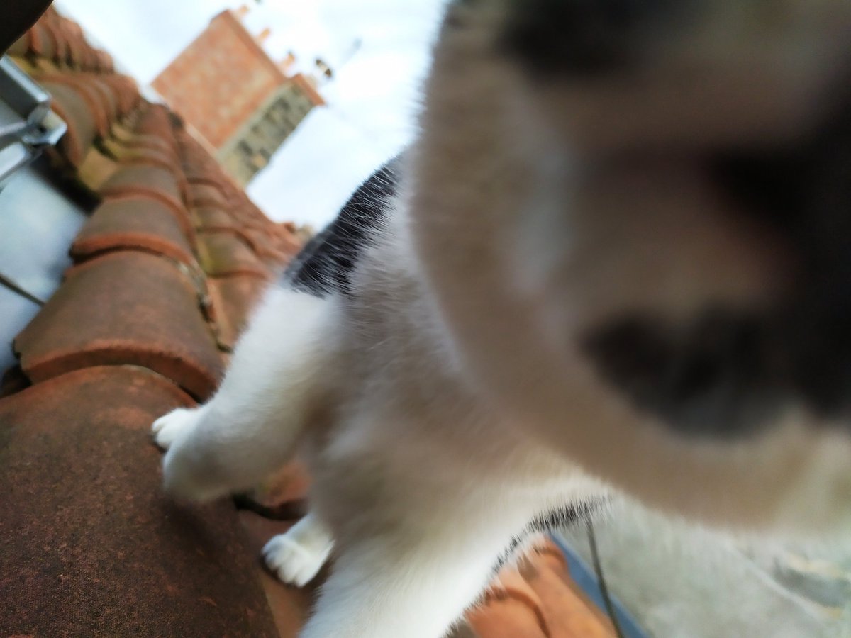 lunastagrameuse's tweet image. Je sais pas s'il faut un plan vigipapate mais au cas où...  BISOUNEZ