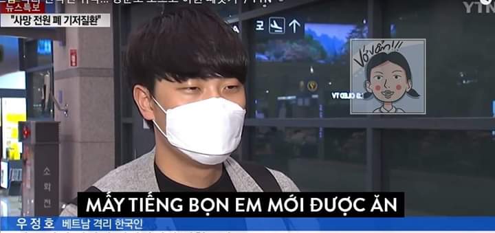 LeeHnh2's tweet photo. Ủa,mấy tiếng mới ăn một lần là đúng rồi còn gì ,hay mài muốn 1 phút đớp 1 lần cho nó bội thực chết vì no luôn vậy ??? 
#베트남을존중해 #ApologizeToVietnam
#YTN_사과해
Tướng tá đô con mà cái não đéo bằng đứa bé 5t :> https://t.co/Zs64ETAPiD
