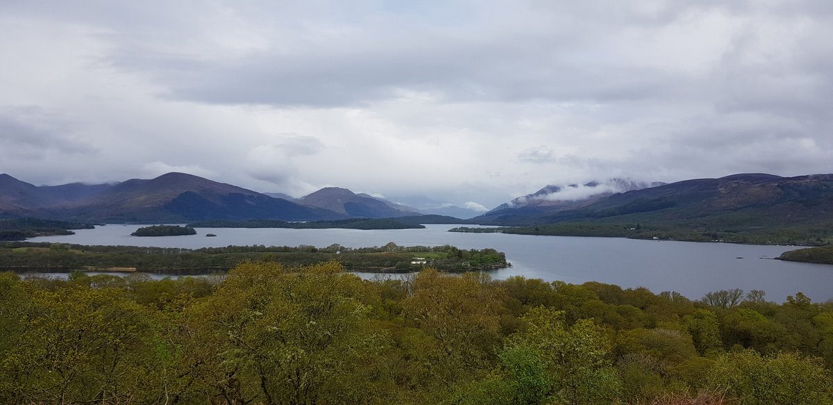 Scotlands_Wild's tweet photo. Inchcailloch is a fantastic little island on Loch Lomond, with legends of an old nunnery being surrounded by enchanting woodland tales. 
Have a wee look at other walks we consider to be some of the best to explore https://t.co/1qFvsk9m2g https://t.co/vcta0znnJh