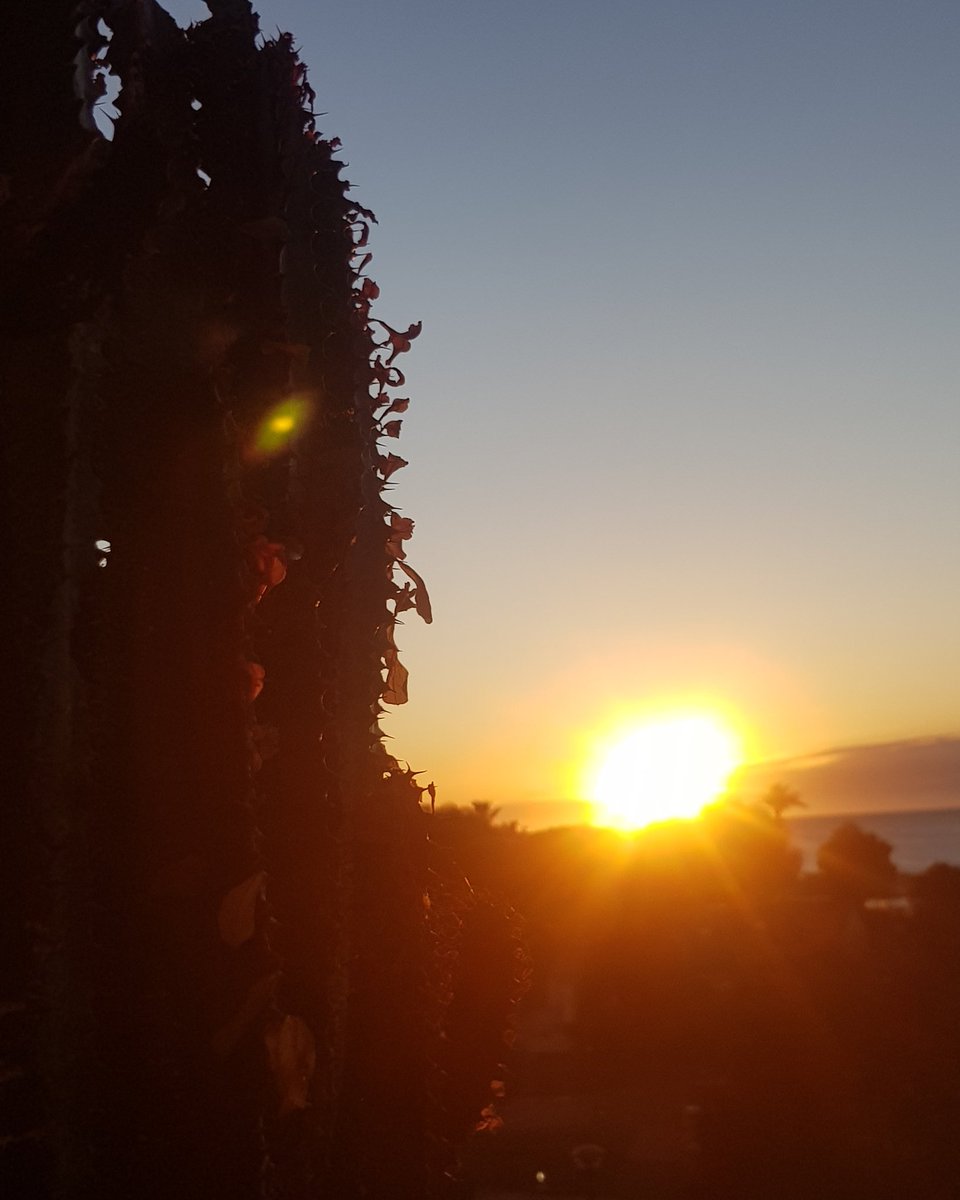 KarinLebeau's tweet photo. #cotedazurfrance #picoftheday #cotedazur #frenchriviera #villeneuveloubet #marinabaiedesanges #southoffrance #sunrise #lookslikespring https://t.co/GcRW7RB3Zl