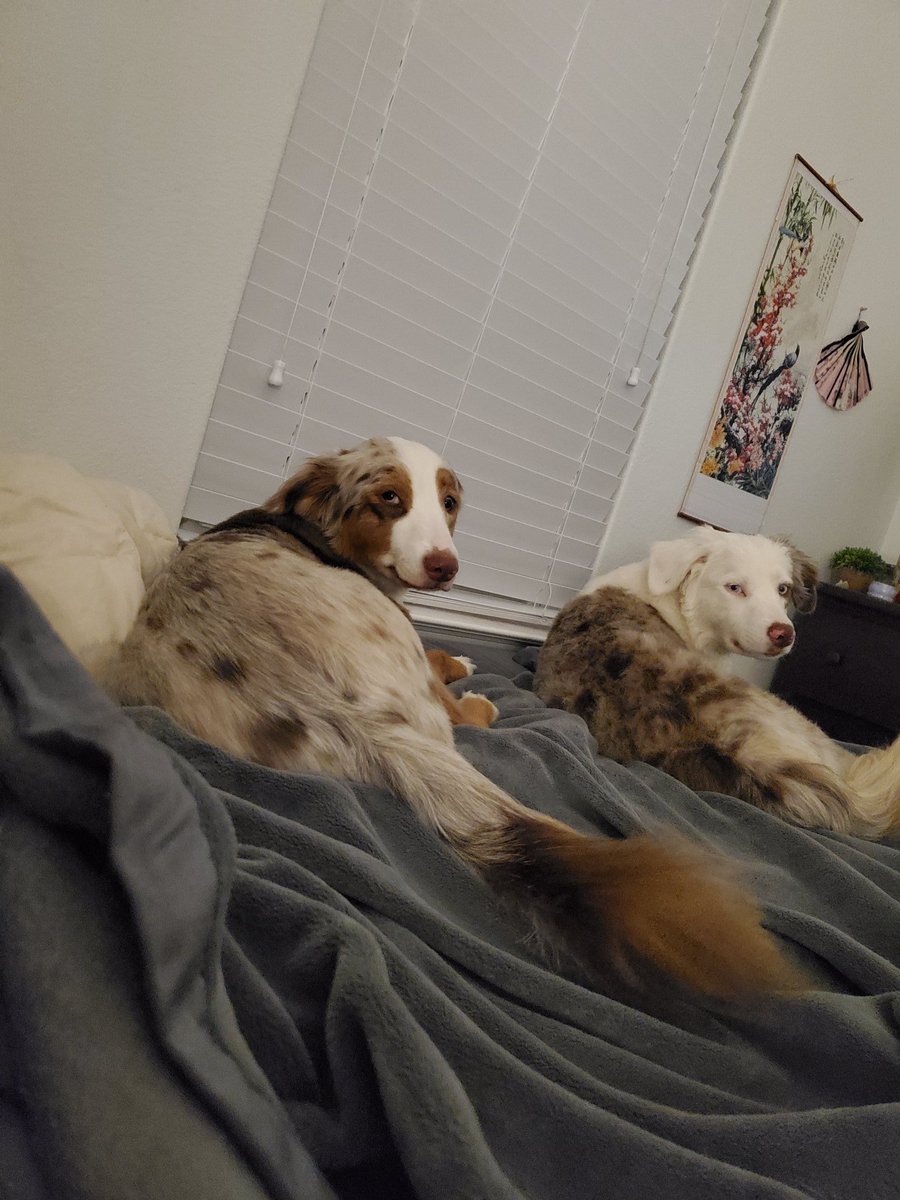 Content from jaxerie