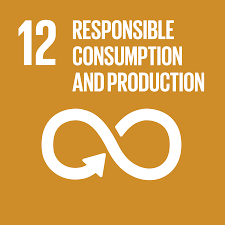 93) SDG #12: Ensure sustainable consumption and production patterns.