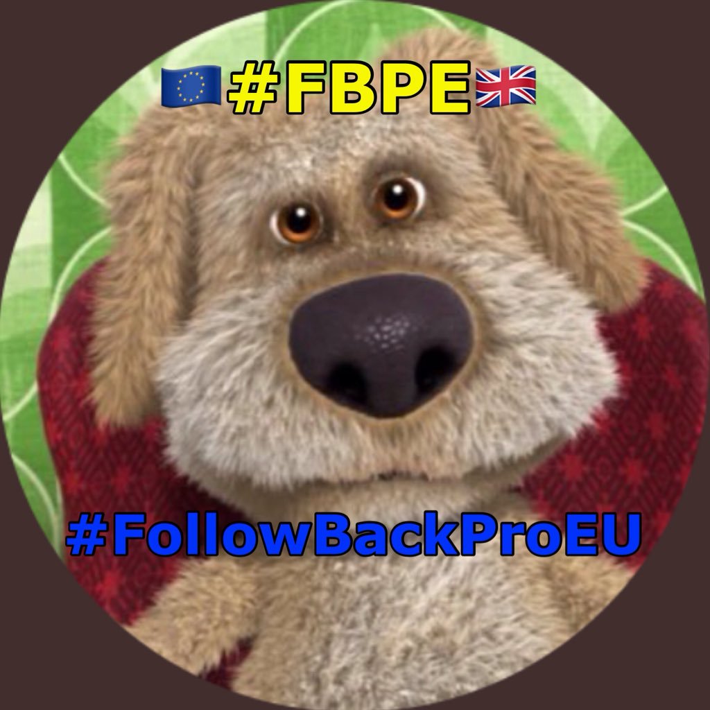 IanIrons's tweet photo. #FollowBackProEU 
Many #Twitter accounts carrying #FBPE are failing to #FOLLOWBACK  
Shame on you if you aren't playing the game 🤪 https://t.co/CAz5Dux2Qf