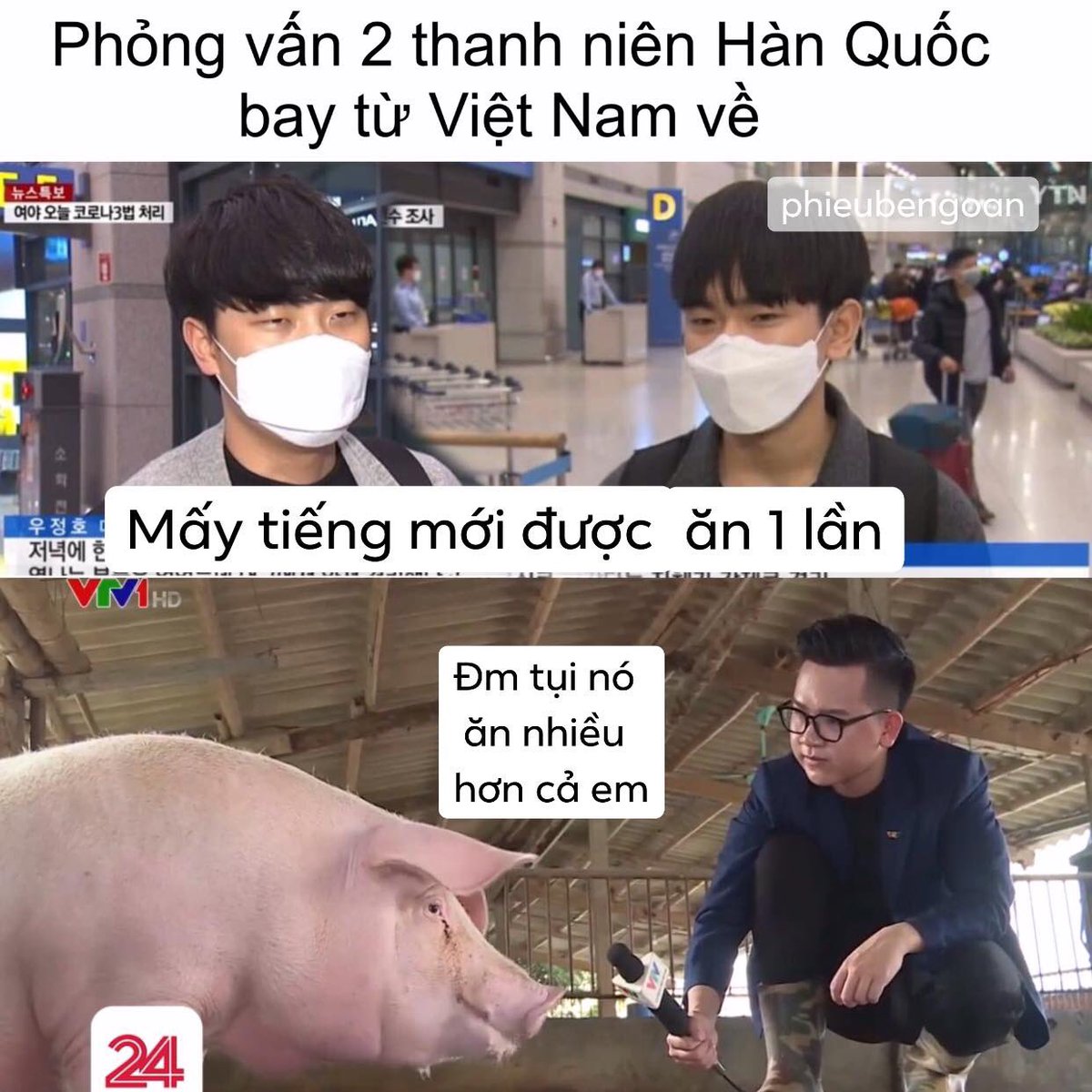vitaminb04's tweet photo. #ApologizeToVietNam
Đụ đỉ mẹ người hay heo mà đòi cách mấy tiếng ăn một lần :))) https://t.co/NSCFsf7FpE