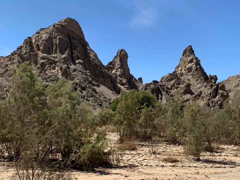 madblack65's tweet photo. What an amazing trip to #Namibia
My first time to this beautiful country and first being the closing keynote at a global speakers summit #PlanB
#MADTalks #speaker #travel https://t.co/kxofVOgeFC