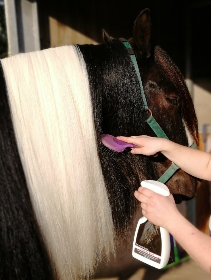 Smart_Grooming's tweet image. Mane goals using our Tame the Mane 😍 

Pic by Vicky Lee

#tamrthemane #proequinegrooms #smartgrooming #horsechathour