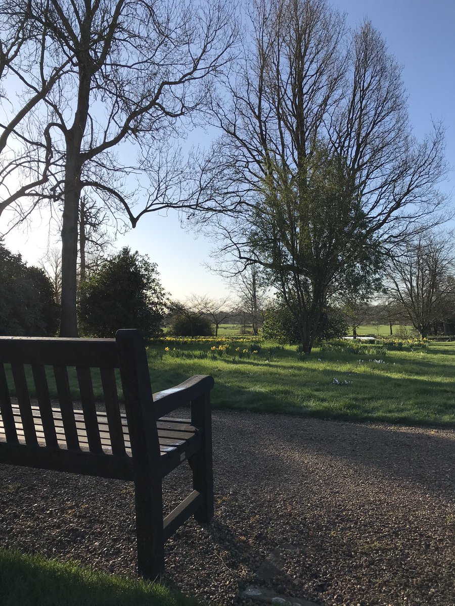 Godinton's tweet photo. Blue sky has been unveiled, the yellow daffodils are swaying in the breeze.  Will you be the first person to enjoy this view across the wild garden?  Gardens open Sunday 1st March. @The_RHS @VisitKent @visitashtent https://t.co/9MvGUJl1iP