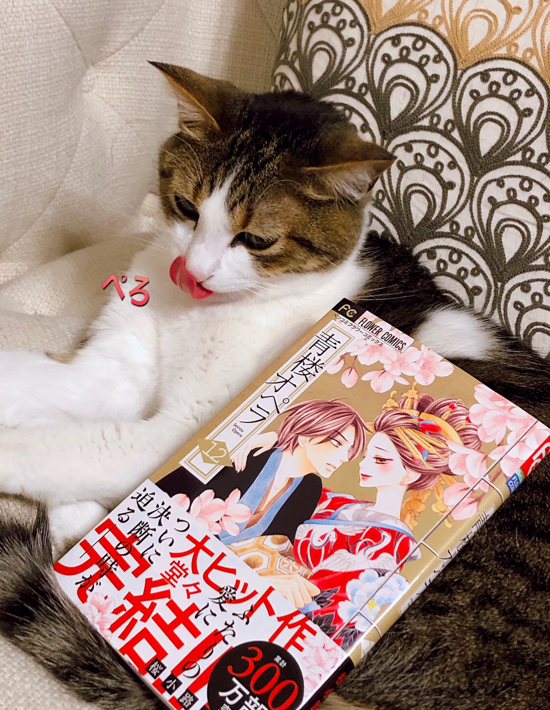 桜小路かのこ Sakurakouji K Twitter