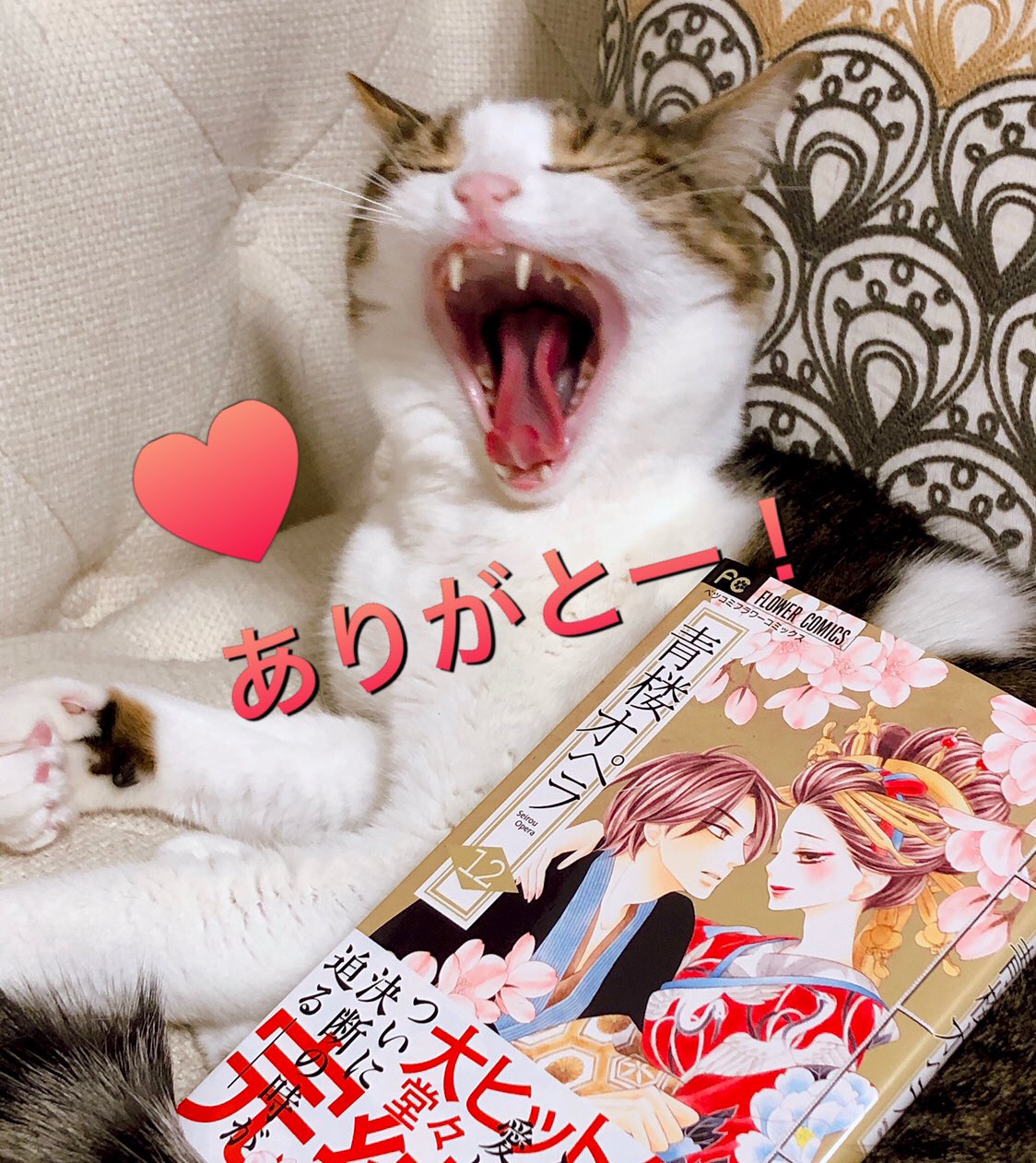 桜小路かのこ Sakurakouji K Twitter
