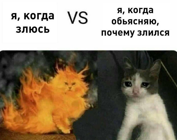 so_mad_so_funny's tweet photo. https://t.co/j2Ha37NjCl