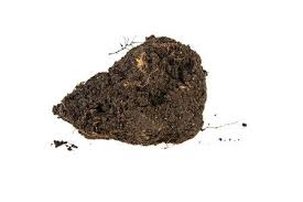 AncaAntoci's tweet photo. #WritingCommuntiy I need your #help with a word as I speak English as a second language. What would you call this? A lump of dirt, a lump of soil, something else? I don't want the scientific name it (if one exists). https://t.co/Qavz2EXaiA