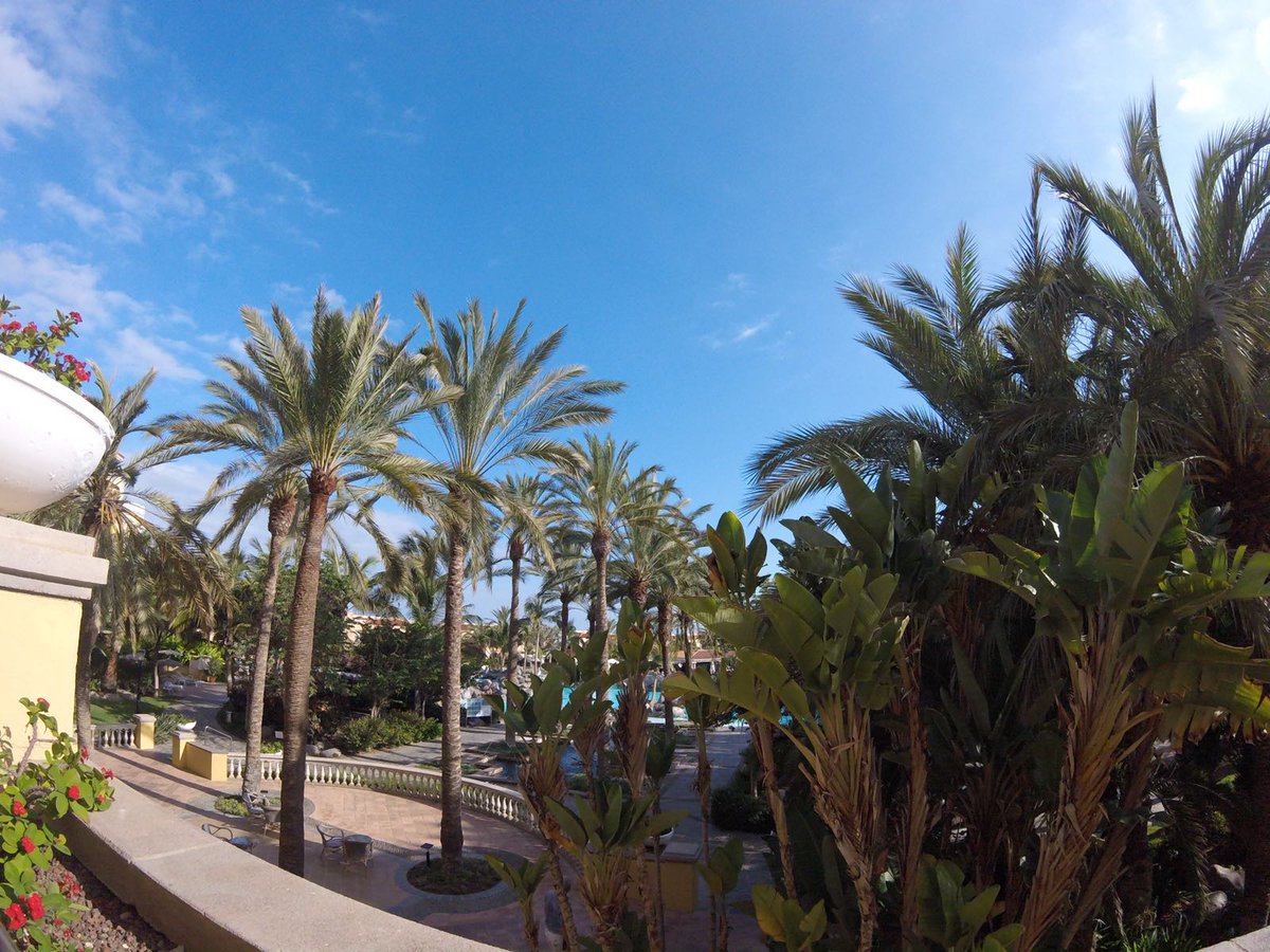 Palm_Oasis's tweet photo. La verdad es que aquí se está muy bien… ¿quieres comprobarlo tú mismo? https://t.co/Egj2RzS7uf ¡Anímate! #palmoasis #viajar #GranCanaria https://t.co/oqIP1WBUow