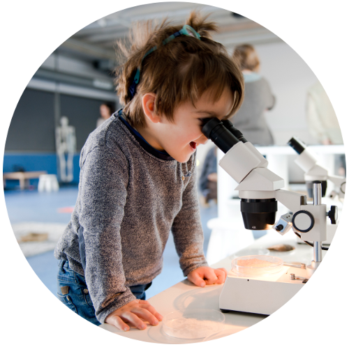 ICLiberia's tweet photo. Aquesta tarda fem entrega a la @UManresa dels Premis de Recerca “La ciència i els infants” adreçat a mestres d’educació infantil i primària de la #CatalunyaCentral @AlemanCarles @ICLiberia
Apostem per l’educació científica per als més petits #Lab0_6
https://t.co/zp3vyqLRxd https://t.co/aOC6jgruRj