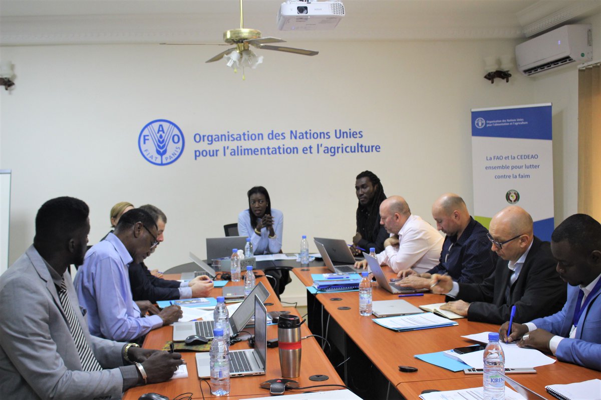 FAOWestAfrica's tweet photo. #LeSaviezVous❓

L'activation de l'alerte maximale des urgences au niveau de @FAOemergencies exige une mise à l'échelle rapide de nos activités dans le centre du #Sahel et une mobilisation de ressources pour renforcer la #résilience des agropasteurs- @CoumbaDSow
#InvestInHumanity https://t.co/K0eqvHsrx4