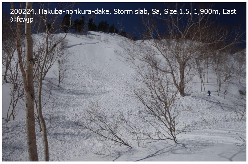 npo_jan's tweet photo. 雪崩れた後の発生区全景。７名パーティ。最終滑走者による誘発。登り返しをしつつ、その日、３本目での出来事。当日の雪崩情報は以下。
https://t.co/X2KNgqtQYZ https://t.co/tiIQ8zy7Te