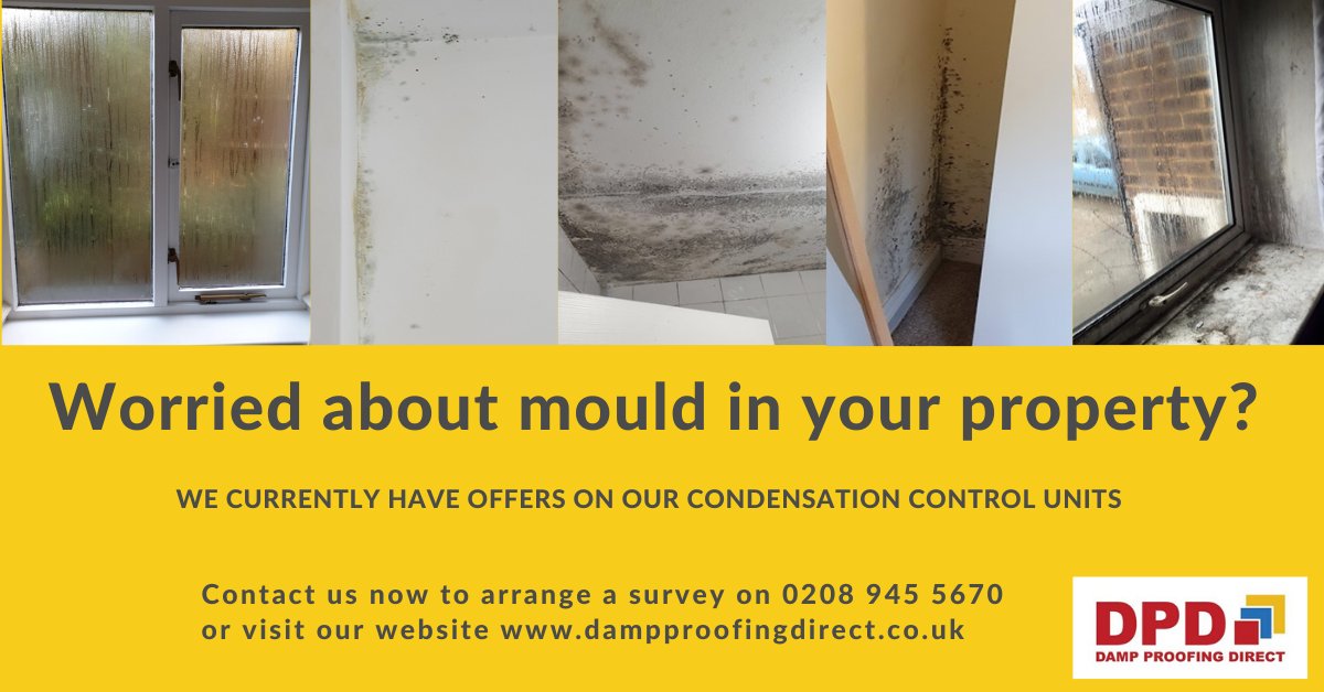 Worried about mould in your home? Get started solving the problem by contacting your local property preservation experts at Damp Proofing Direct today 
dampproofingdirect.co.uk 🏠 #whichtrustedtrader #which #cgs #guarantees #london #hemelhempstead #condensation #damp