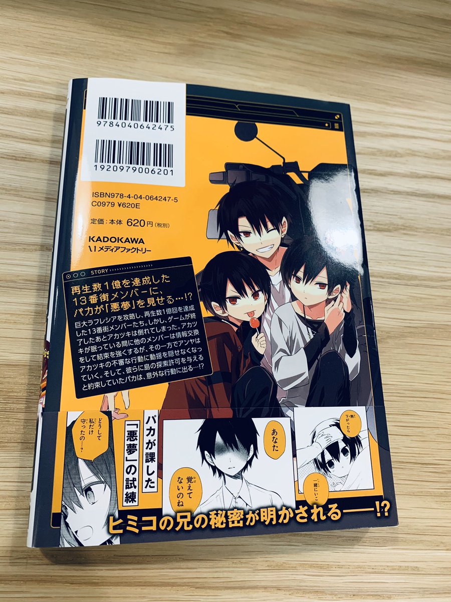 いよいよ一億再生を突破した13番街メンバーですが、10巻を読み終わってからカバーを見るときっとまた最初とは違った気持ちになると思います。お楽しみに…。
カバーの後ろ側には駆堂兄弟がいます。 