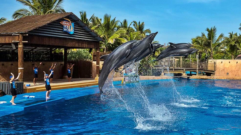 TheBusStopSA's tweet photo. Things to do when in Durban @eThekwiniM (Thread)

Firstly, find an accommodation that's more central, this will make it more convenient to get around.

1] DAY-TIME 
- Visit @uShakaMarine  they have a R99 Special see link

https://t.co/tA4AQskH3M

#thebusstopsa #luxurybackpacker https://t.co/7gVcSFmAav